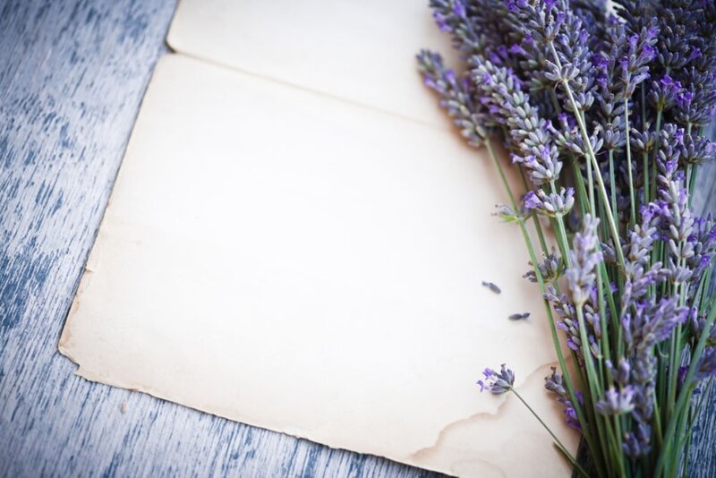 Lavender Bouquet on Paper