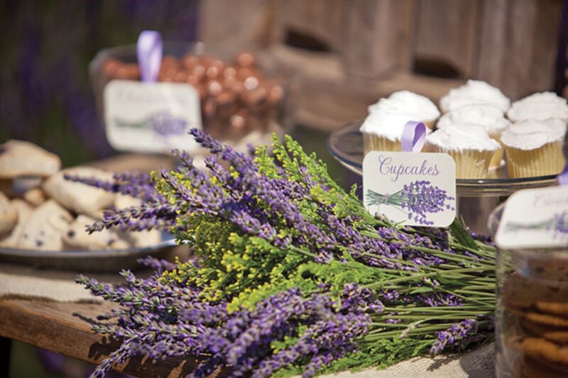 Lavender Bouquet on Table
