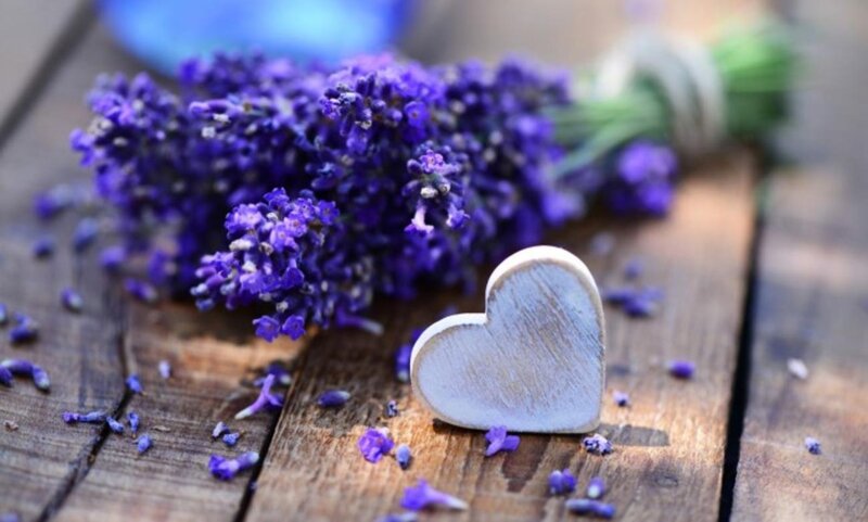 Lavender Bouquet with Heart