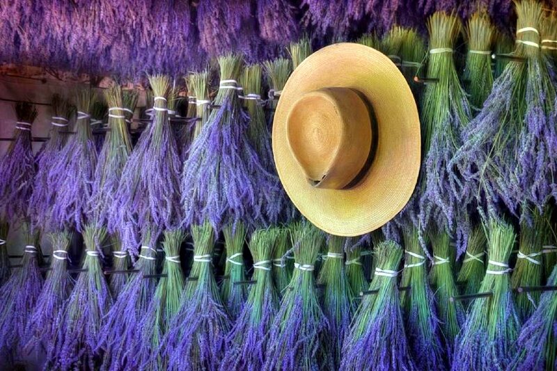 Lavender Bundles with Hat