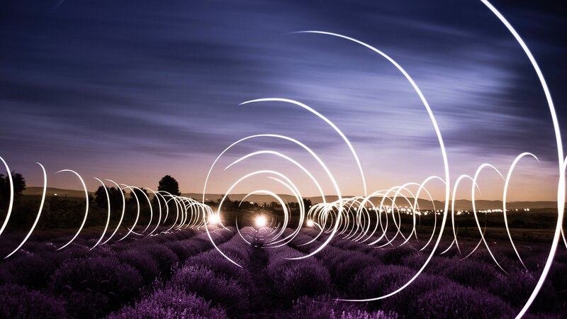 Lavender Field at Dusk — Purple, Serene, Night, Photograph
