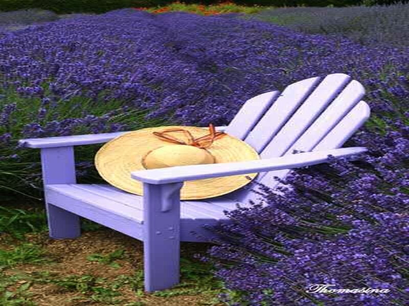 Lavender Field Chair