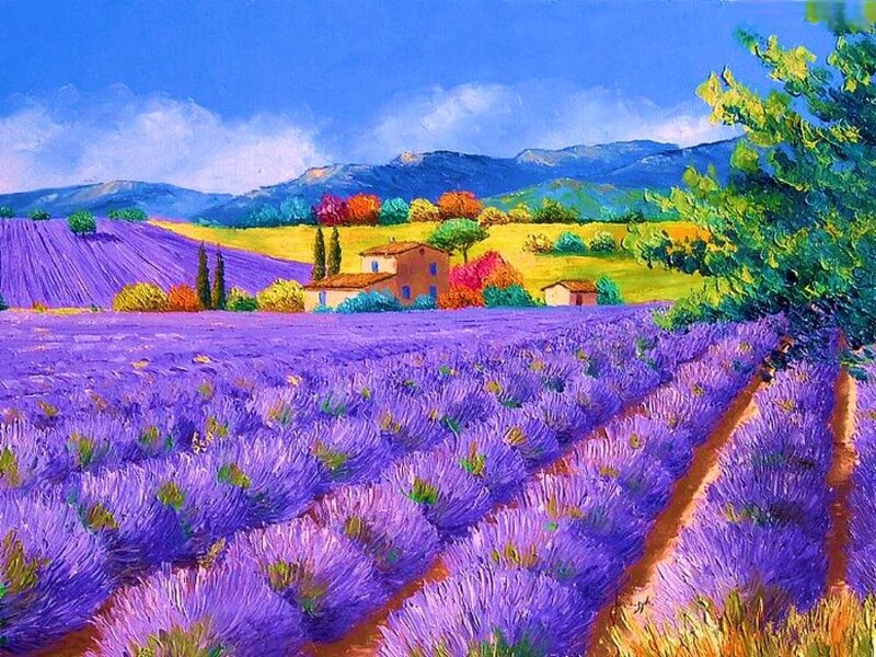 Lavender Field Landscape — Purple, Serene, Afternoon