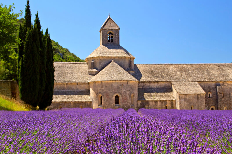 Lavender Field with Abbey