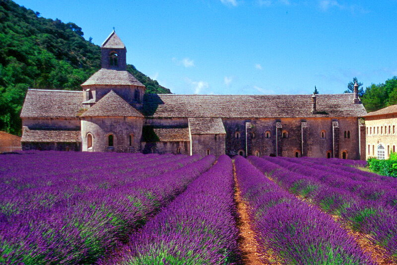 Lavender Fields and Abbey — Purple, Serene, Afternoon