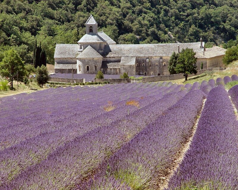 Lavender Fields and Abbey — Purple, Serene, Summer