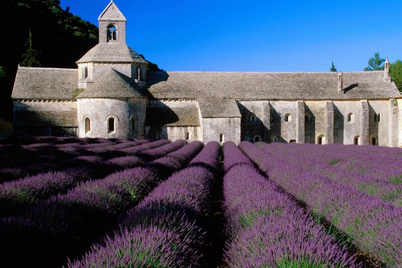 Lavender Fields and Abbey — Purple