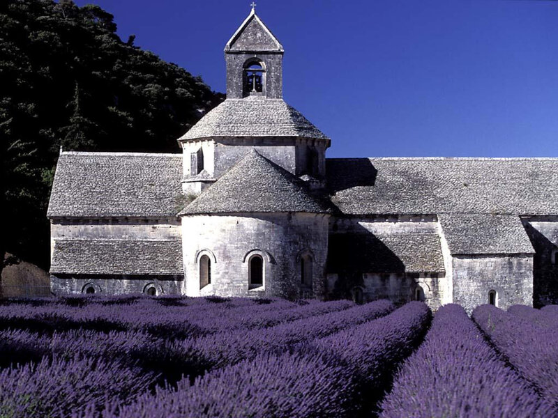 Lavender fields and abbey