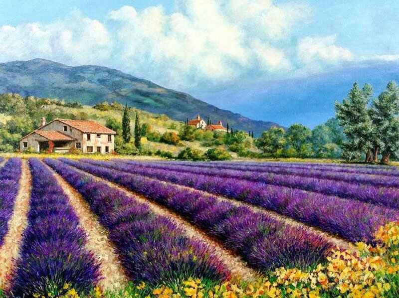 Lavender Fields and Farmhouse — Purple, Serene