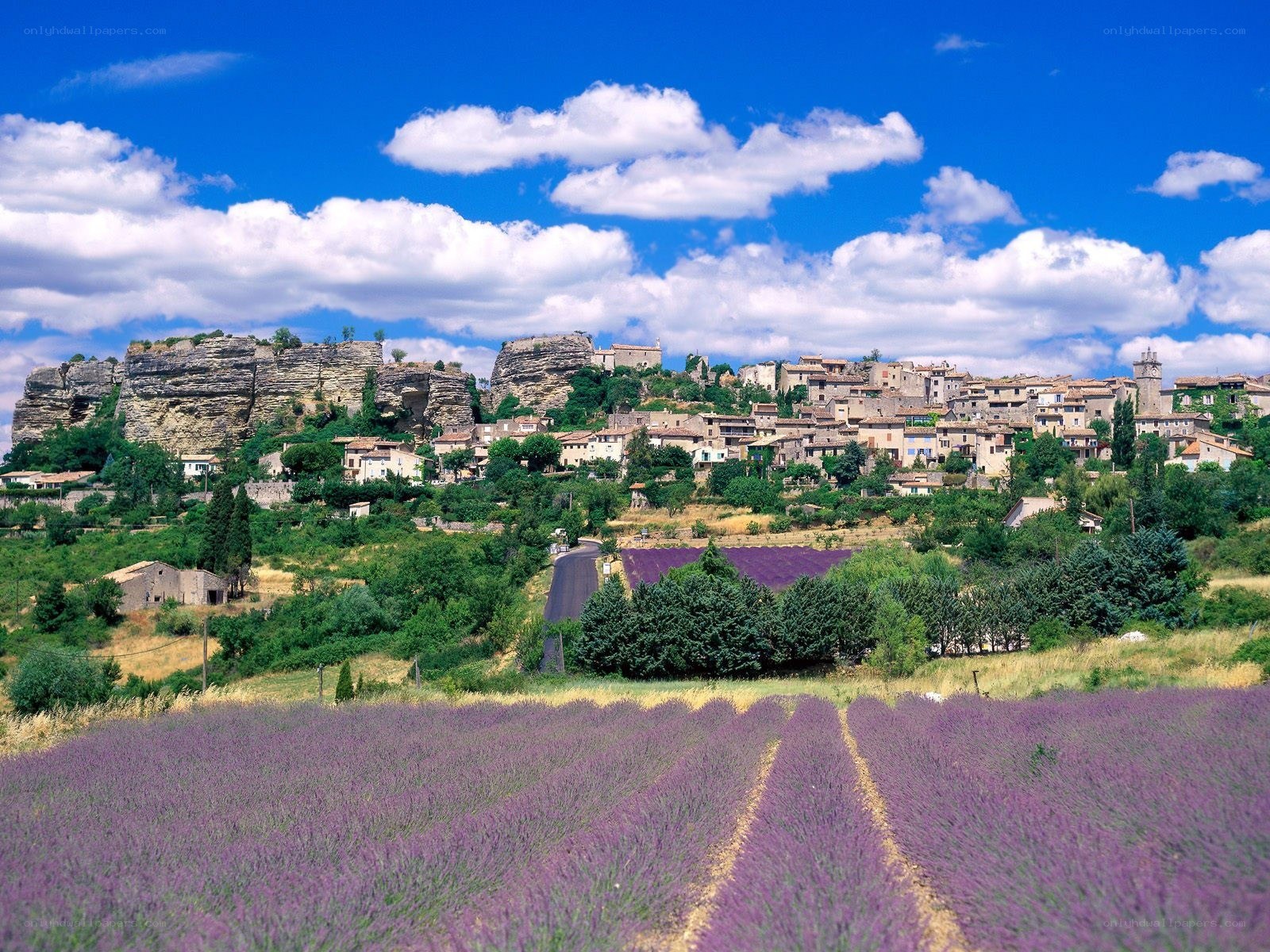 Lavender fields and hilltop village