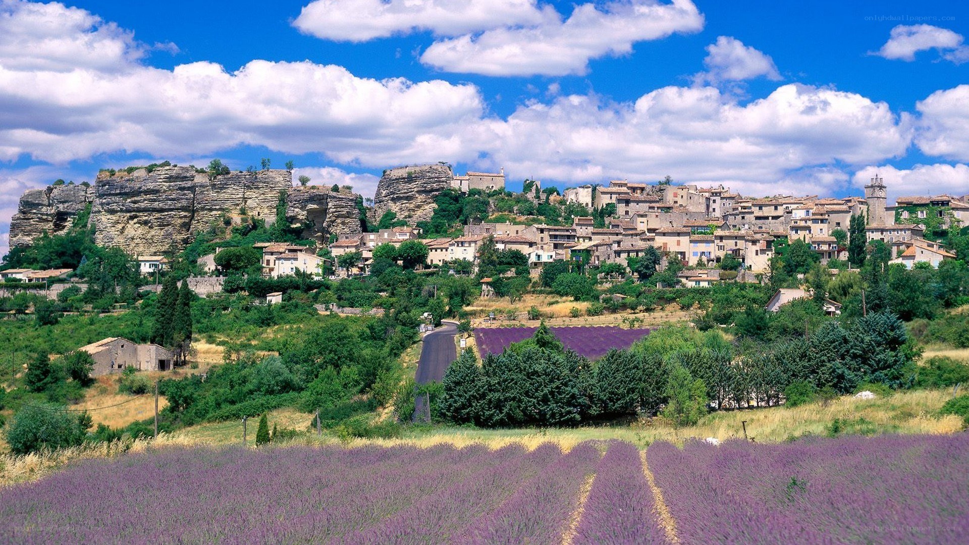 Lavender fields and hilltop village