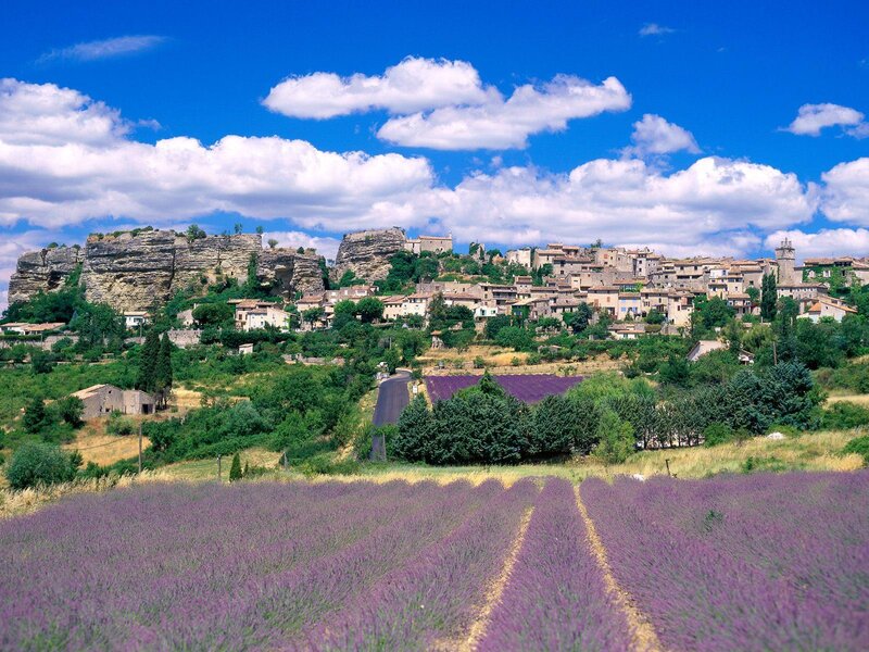 Lavender Fields and Village — Purple, Serene, Afternoon, Photograph, Mountain