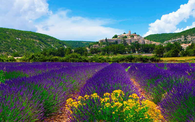 Lavender Fields and Village — Purple, Serene, Afternoon