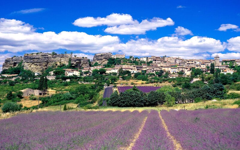 Lavender Fields and Village — Purple