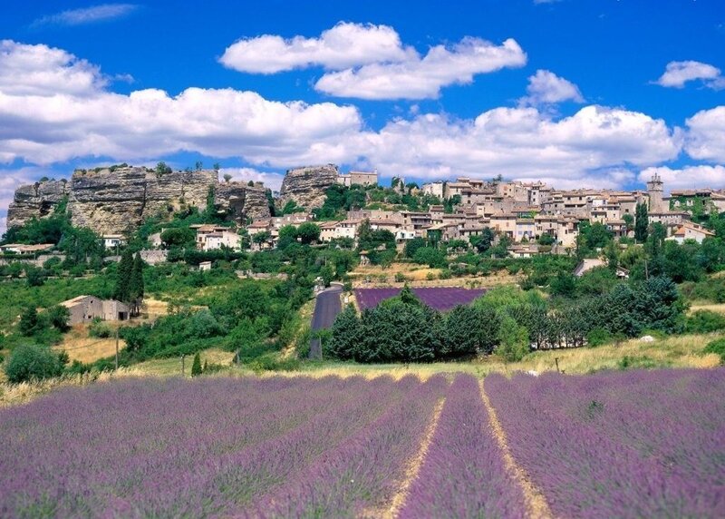 Lavender Fields and Village
