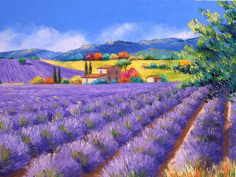 Lavender fields in Provence