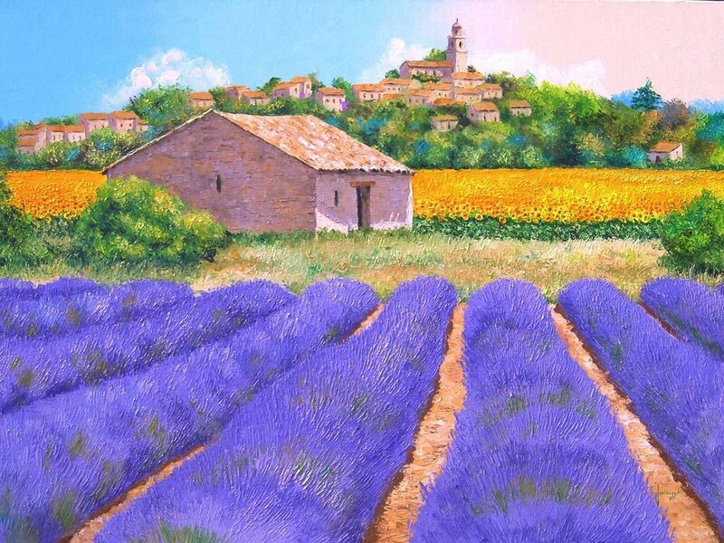 Lavender fields in Provence