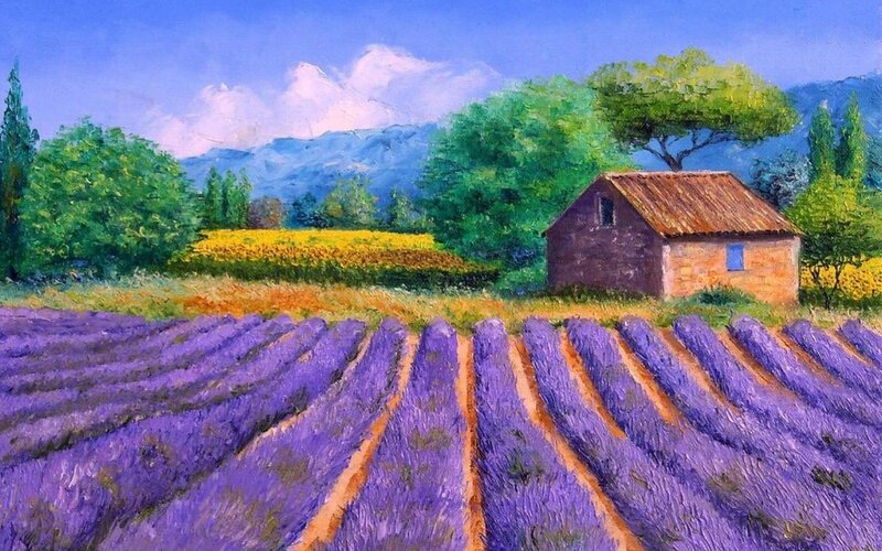 Lavender Fields with Barn