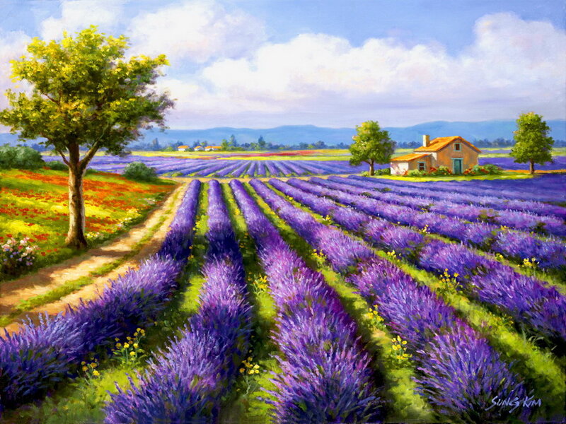 Lavender Fields with Cottage — Purple