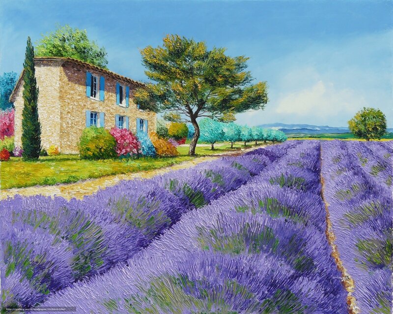 Lavender fields with stone house