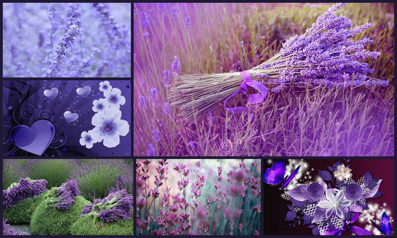 Lavender Flower Bouquet — Purple