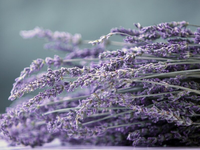 Lavender Flower Bouquet