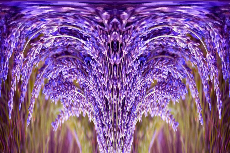 Lavender Flower Cluster — Purple, Calm