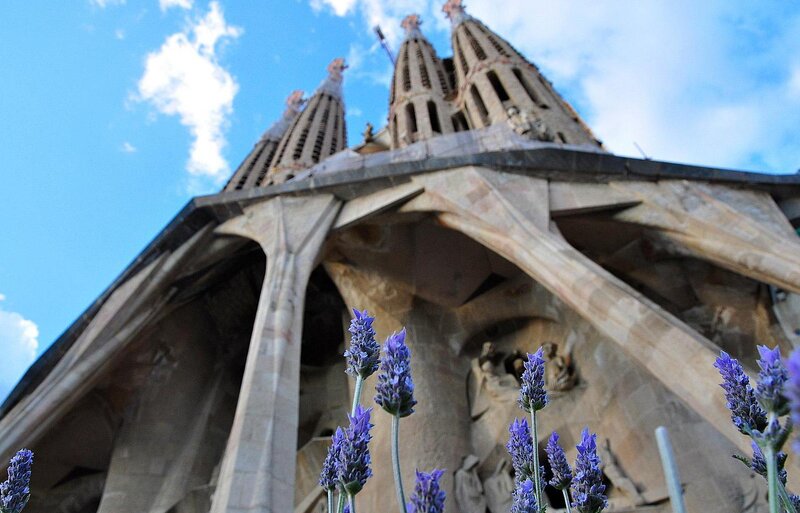Lavender Flowers and Cathedral