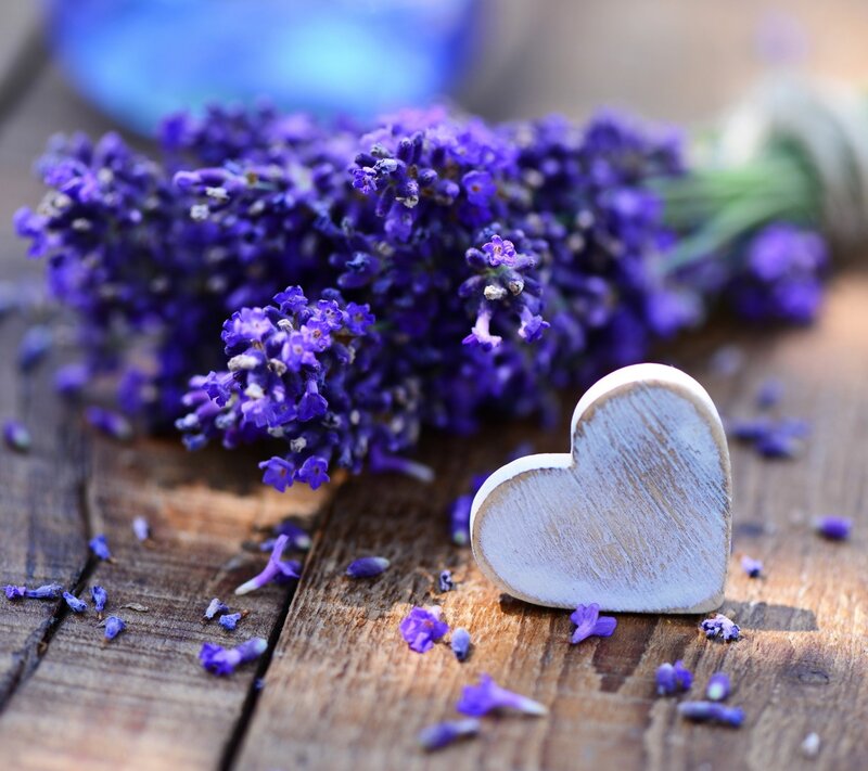 Lavender Flowers and Heart — Purple