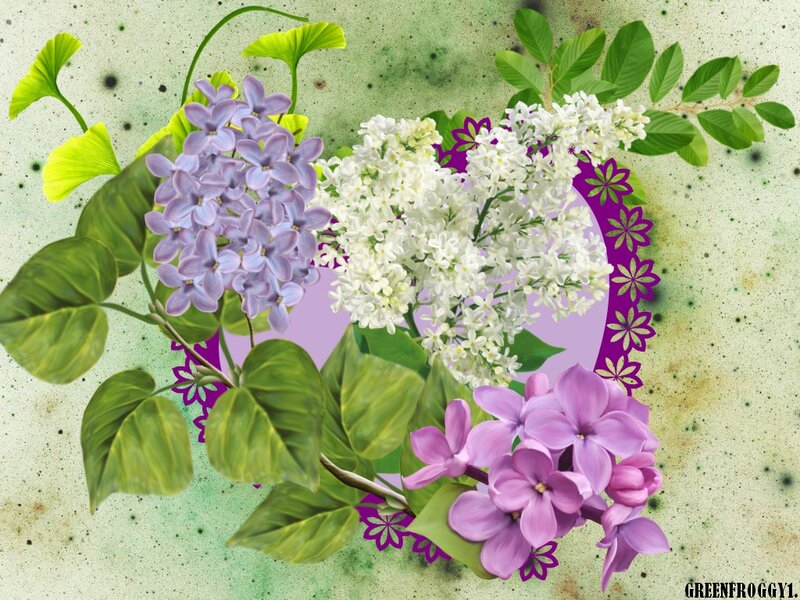Lavender Flowers and Leaves — Purple