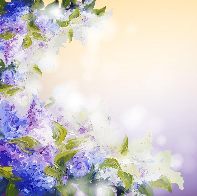 Lavender Flowers and Leaves