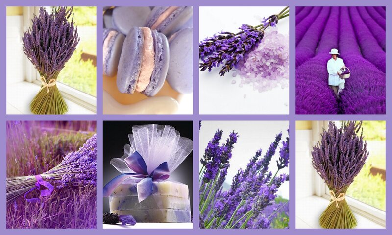 Lavender Flowers and Products
