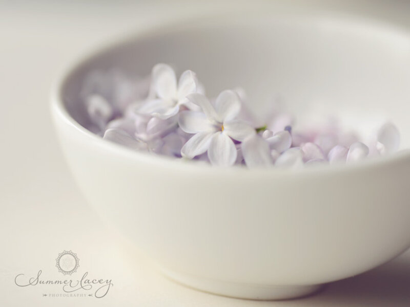 Lavender Flowers in Bowl