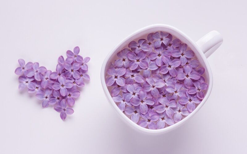 Lavender Flowers in Cup