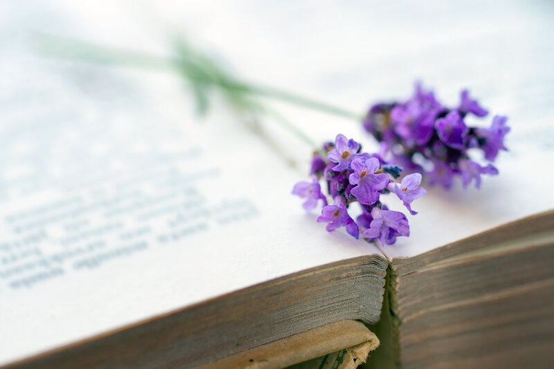 Lavender Flowers on Book