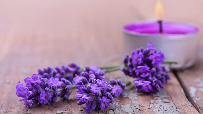 Lavender Flowers on Wood