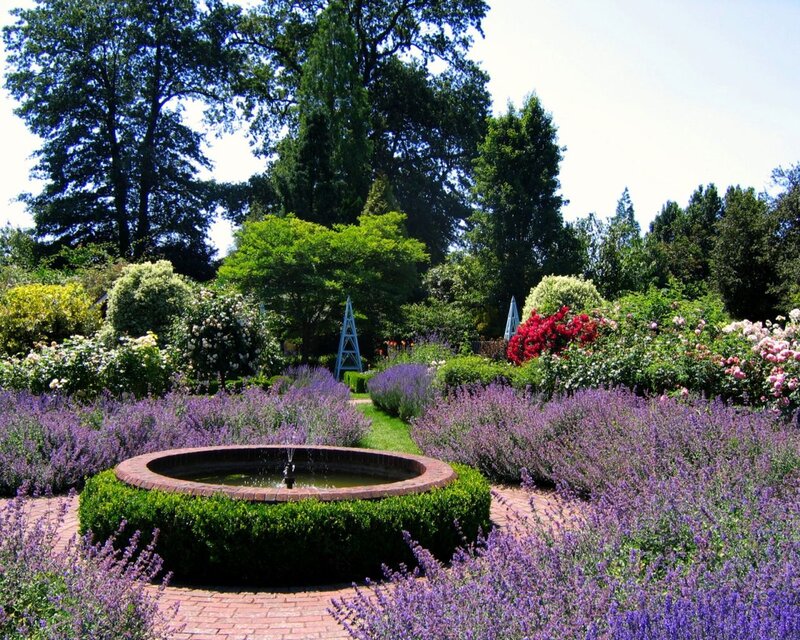 Lavender Garden with Fountain