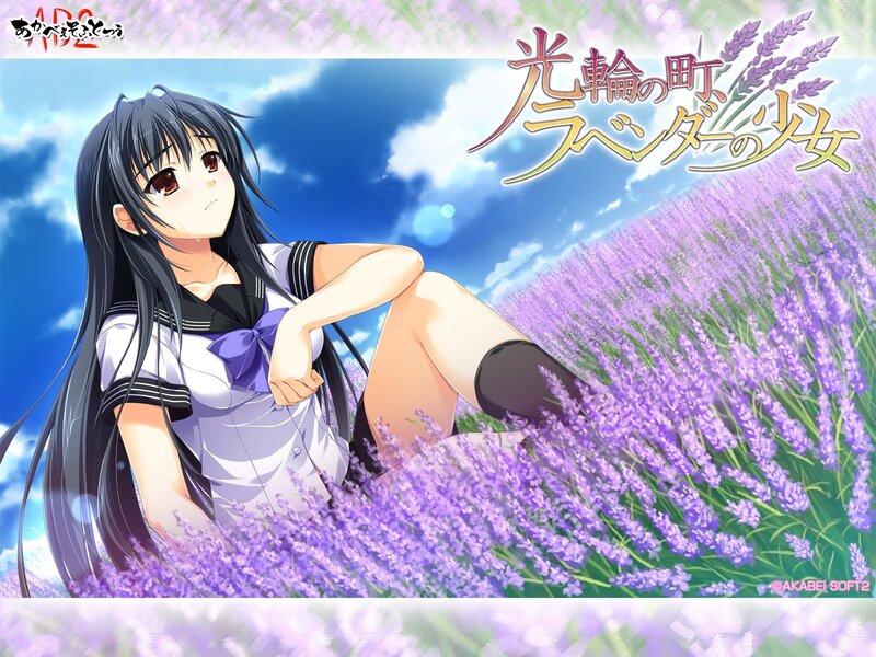 Lavender girl in a field
