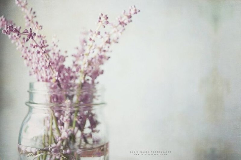 Lavender in a Jar