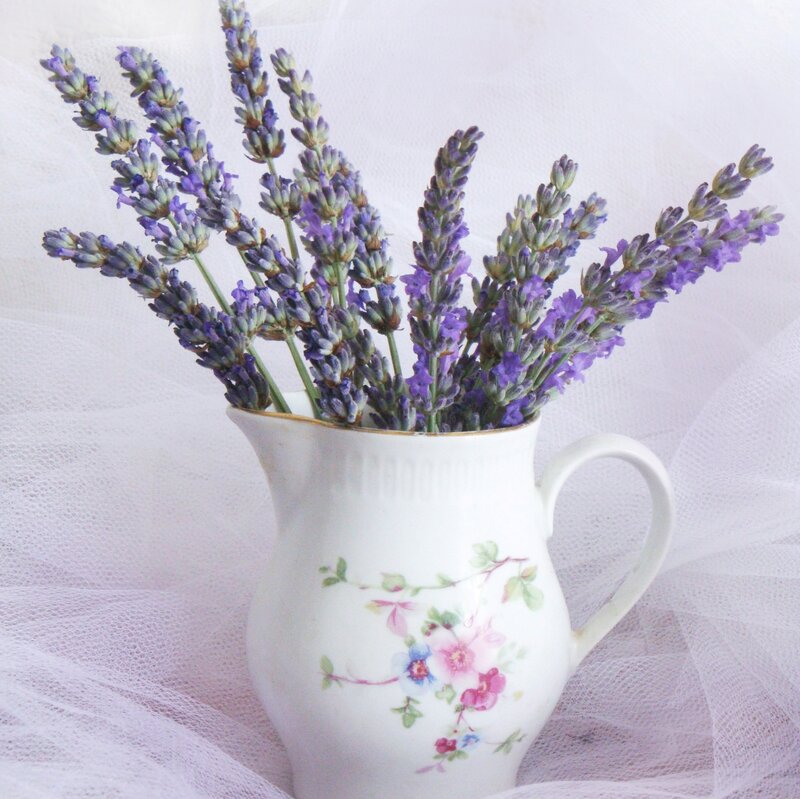 Lavender in a Pitcher