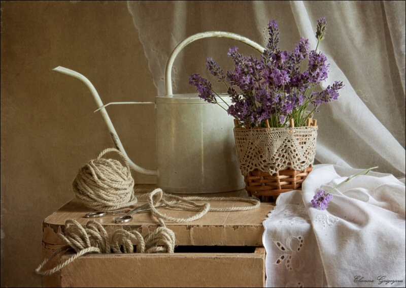 Lavender in Basket — Purple, Serene, Photograph