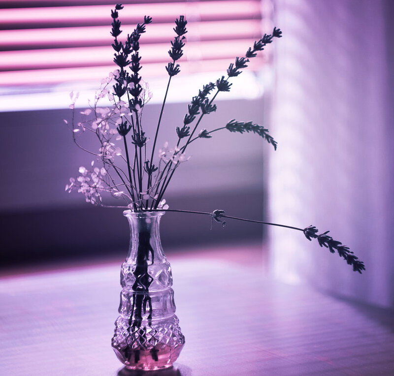 Lavender in Glass Vase