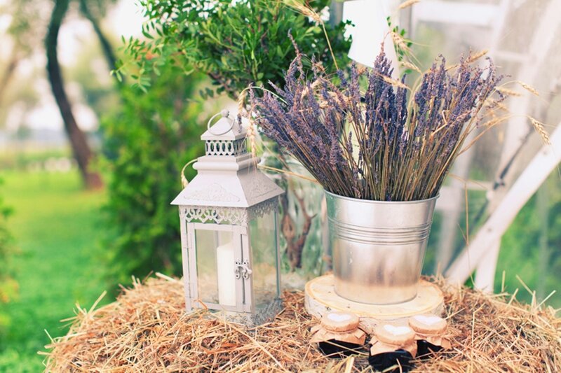 Lavender in Metal Bucket — Purple, Serene