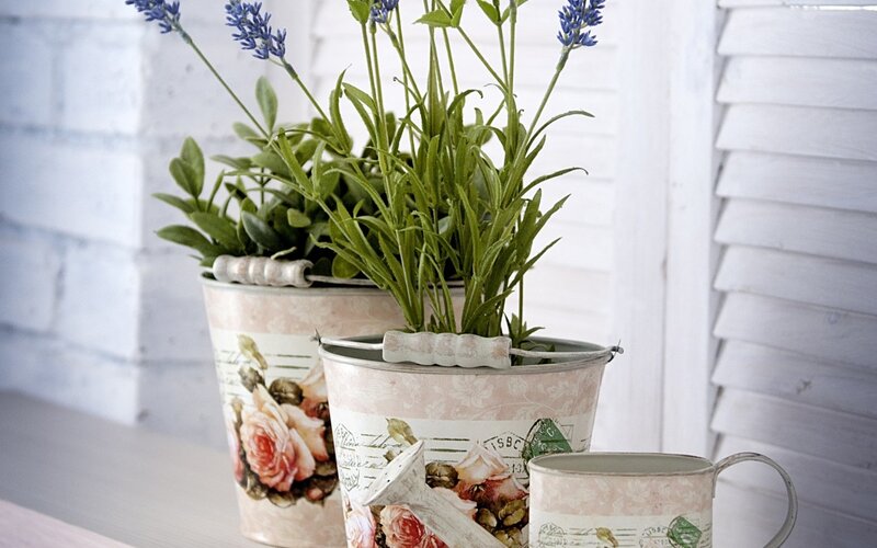 Lavender in Metal Pots