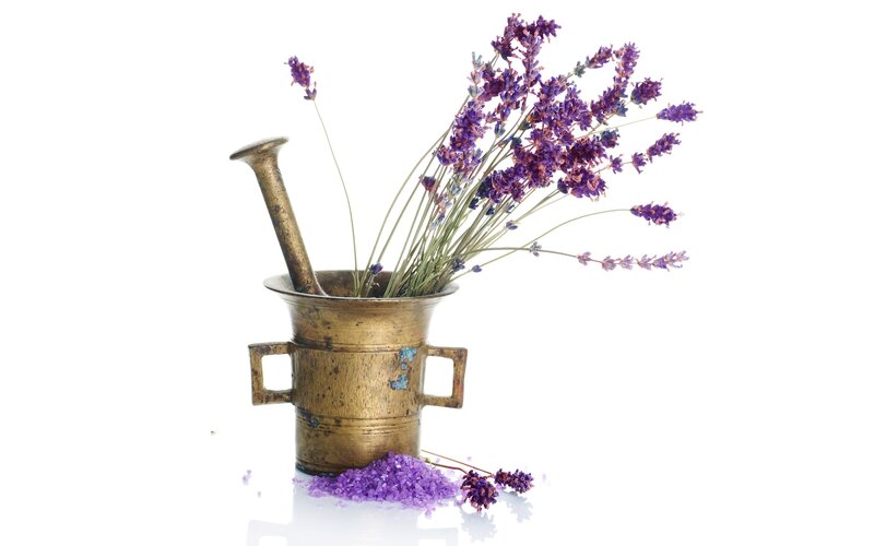 Lavender in Mortar — Purple