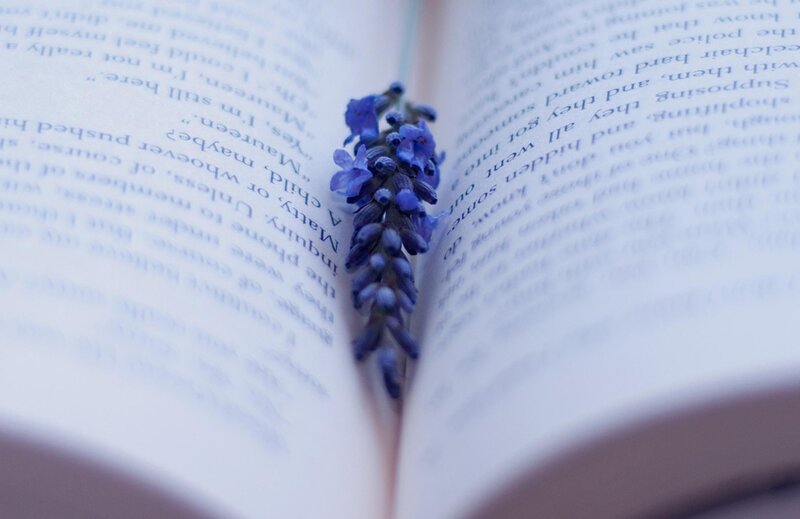 Lavender in Open Book