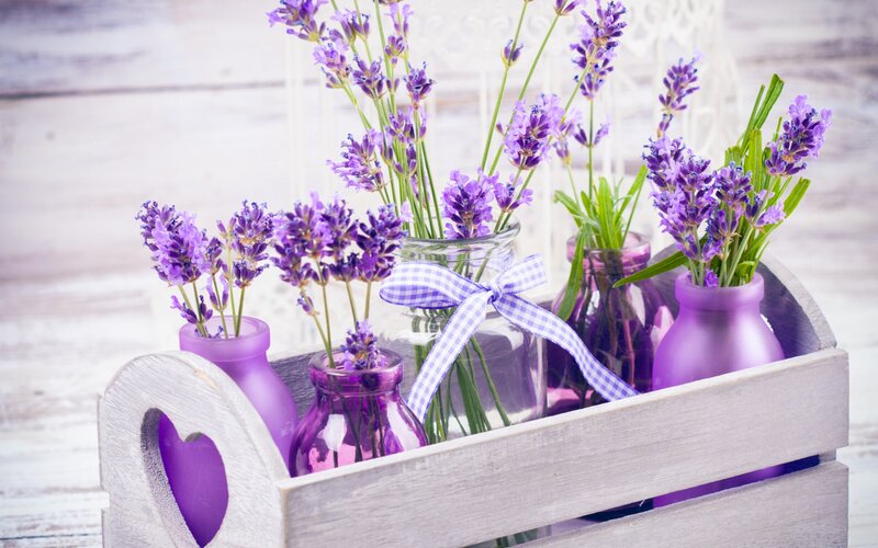 Lavender in Vases
