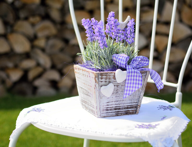 Lavender in Wooden Box