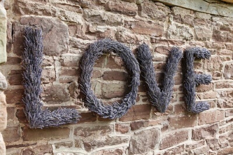 Lavender Letters on Wall