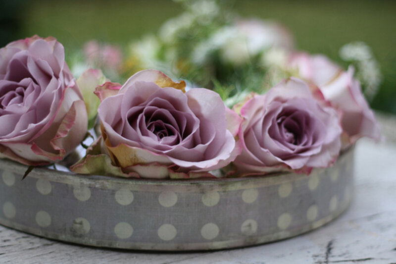 Lavender Roses in Bowl